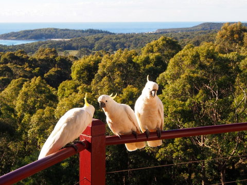 Bundle Hill Cottages - Sydneys Hotel 2