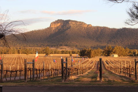 Nightingale Villas - Sydneys Hotel 4