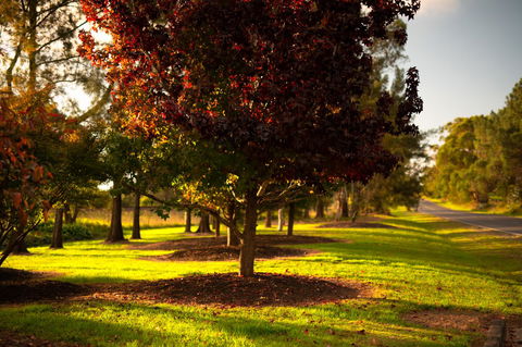 Bundanoon Country Inn Motel - Sydneys Hotel 20
