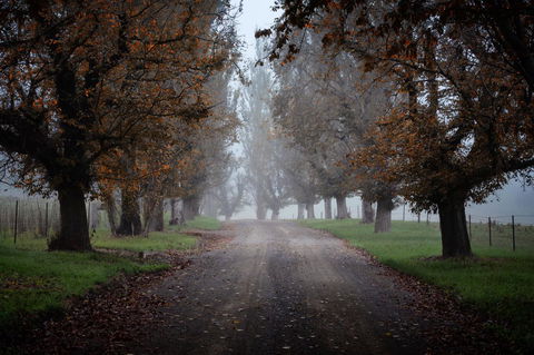 Bundanoon Country Inn Motel - Sydneys Hotel 17
