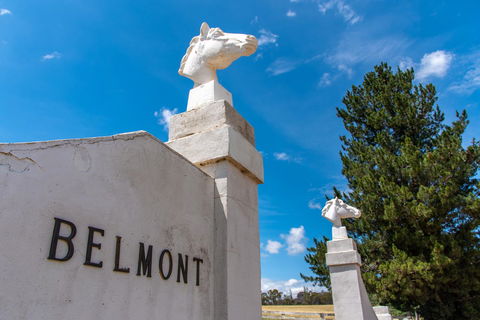 Belmont - Sydneys Hotel 4