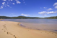 Book Booker Bay Accommodation Vacations Sydneys Hotel Sydneys Hotel