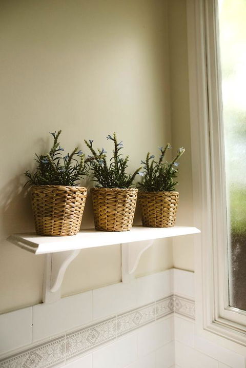 Morpeth Cottage - Sydneys Hotel 31