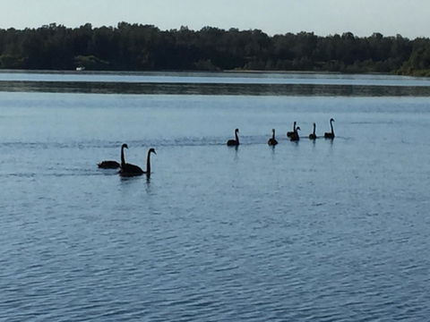 Swan Bay Hideaway - Sydneys Hotel 7