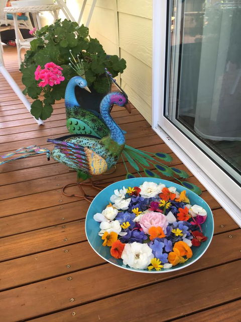 The Best Exotic Magnolia Cottage - Sydneys Hotel 8