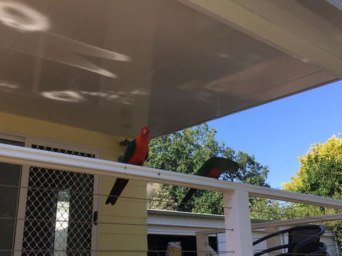 The Best Exotic Magnolia Cottage - Sydneys Hotel 11