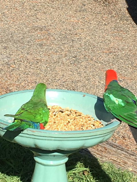 The Best Exotic Magnolia Cottage - Sydneys Hotel 12