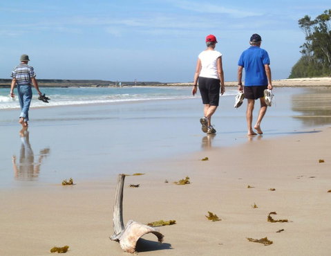 Mollymook Surfbeach Motel & Apartments - Sydneys Hotel 13