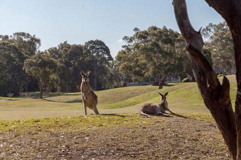Horizons Retreat & Golf, Villa 133 - Sydneys Hotel 18