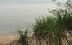 Nightcliff Foreshore Getaway - McKay Gardens - thumb 31