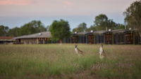 Book Point Stuart Accommodation Vacations Sydneys Hotel Sydneys Hotel