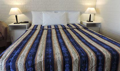 Bondi Motel - Sydneys Hotel 0