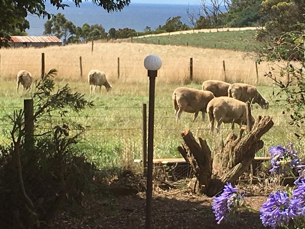 Table Cape TAS Sydneys Hotel