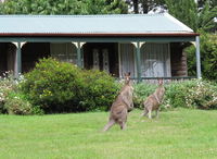 Book Mount Victoria Accommodation Vacations Sydneys Hotel Sydneys Hotel