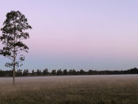 Charlotte Tiny House