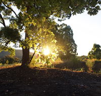 Clarendon Forest Retreat - Sydneys Hotel