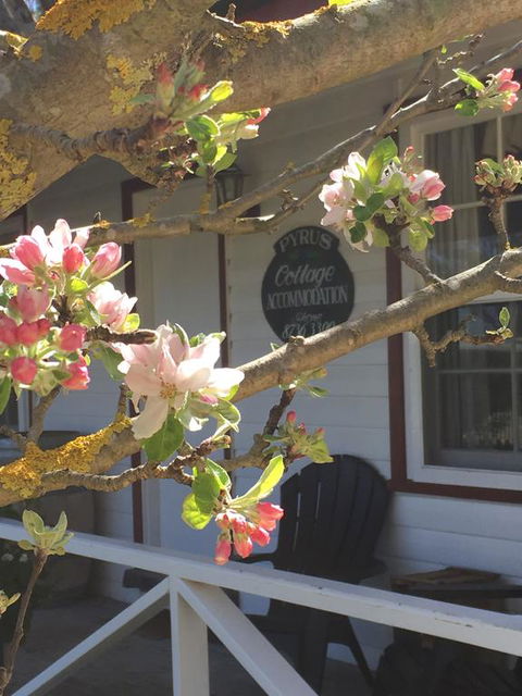 Coonawarra's Pyrus Cottage - Sydneys Hotel 3