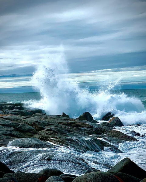 Coopers Ocean Cabin And Jacuzzi - Sydneys Hotel 3