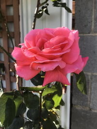 Book Mulgrave Accommodation Vacations Sydneys Hotel Sydneys Hotel