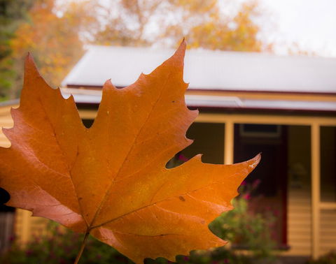Creek Cottage - Sydneys Hotel 3