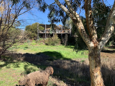 Cullen House - Sydneys Hotel 1