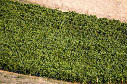 Dairyman's Cottage - Sydneys Hotel 1