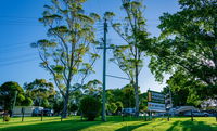Book Dorrigo Accommodation Vacations Sydneys Hotel Sydneys Hotel