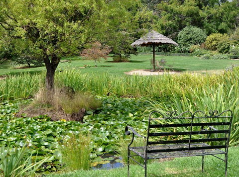 Drayshed Cottage - Sydneys Hotel 2