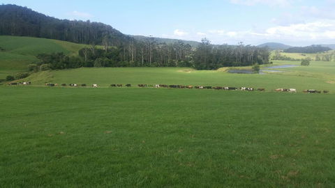 Farm Golf - Sydneys Hotel 2