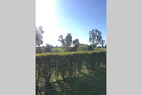 Book Benalla Accommodation Vacations Sydneys Hotel Sydneys Hotel