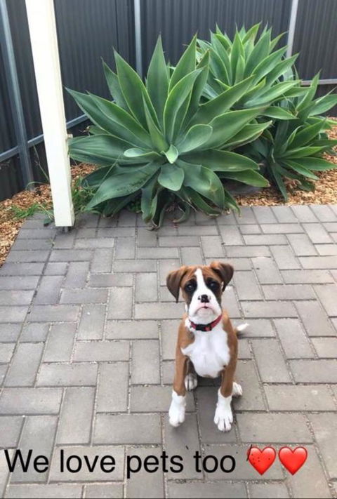 Gawler Townhouse 1 Bedroom - Sydneys Hotel 3