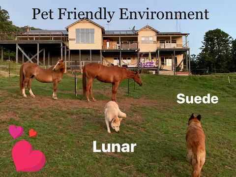 Heavenly Retreat B&B - Sydneys Hotel 1