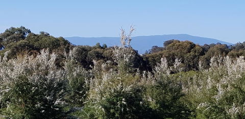 Hideaway Valley Farm - Sydneys Hotel 1