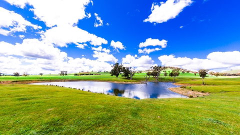 Hillview Farmstay - Sydneys Hotel 0