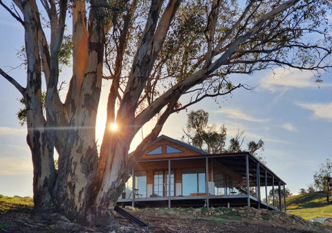 Kestrel Nest EcoHut - Sydneys Hotel 0