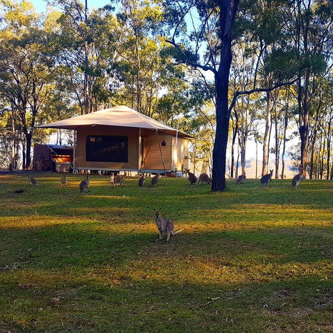 Ketchup's Bank Glamping - Sydneys Hotel 3