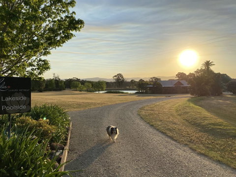 Lilies Luxury Retreats - Sydneys Hotel 3