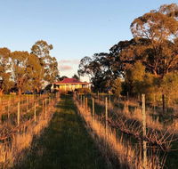 Lillicur Vineyard BB - Sydneys Hotel