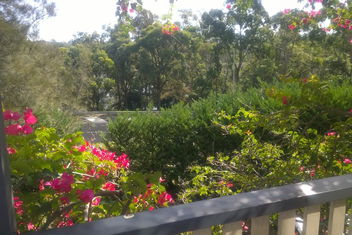 Linley House with Sydneys Hotel