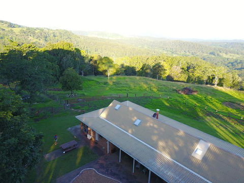 Maleny Orchard - Sydneys Hotel 3
