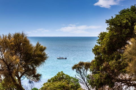 Mills Beach Retreat Luxury Family Retreat With Hydrotherapy Spa, Opposite Beach, Walk To Village - Sydneys Hotel 2