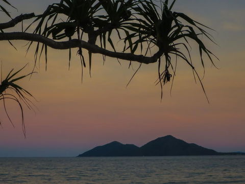 Mission Beach Hideaway Holiday Village - Sydneys Hotel 1