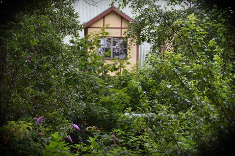 Mountain Lodge - Sydneys Hotel 1