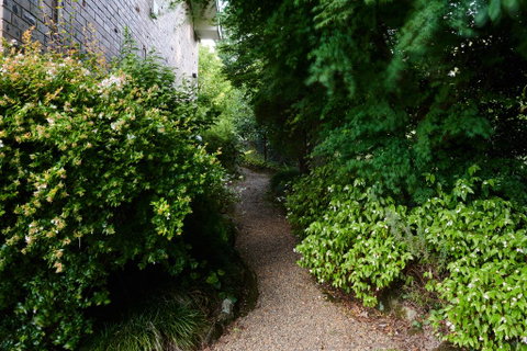 Mountain Sojourn - Sydneys Hotel 1