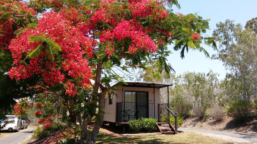 Ambrose QLD Sydneys Hotel