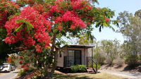 Book Mount Larcom Accommodation Vacations Sydneys Hotel Sydneys Hotel