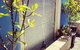 BeachHideaway@Scarborough - thumb 15