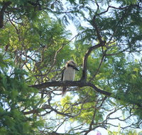 Jacaranda Hideaway Bed  Breakfast - Sydneys Hotel