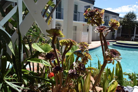 Seashore Memories - Sleeps 3 - Sydneys Hotel 14