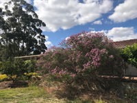 Book Cockburn Central Accommodation Vacations Sydneys Hotel Sydneys Hotel